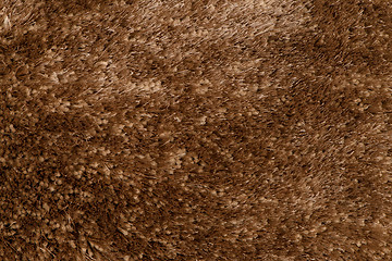 Image showing Brown carpet