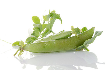 Image showing Fresh green pea pod