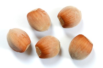 Image showing Hazel Nuts