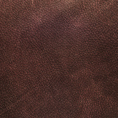 Image showing Brown leather