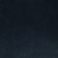 Image showing Blue leather 