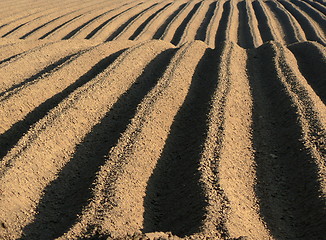 Image showing farmland tracks