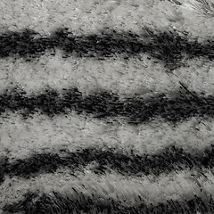 Image showing Grey carpet