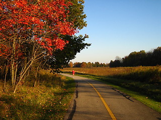 Image showing Autumn  Run