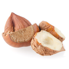 Image showing Tasty hazelnuts