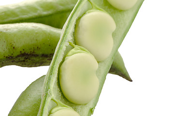 Image showing Green beans