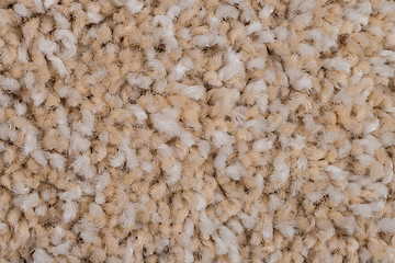Image showing Beige carpet