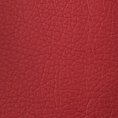 Image showing Red leather 