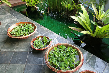 Image showing Balinese table