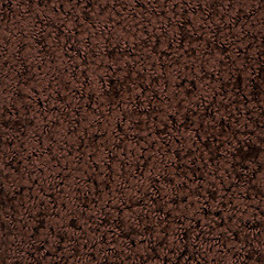 Image showing Brown carpet
