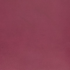 Image showing Pink leather 