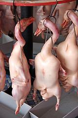 Image showing Raw ducks