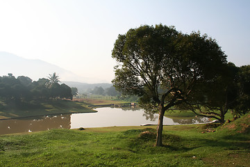 Image showing Tropical landscape