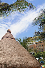 Image showing Tropical hut