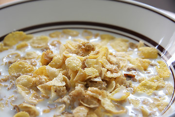 Image showing Corn flakes in milk