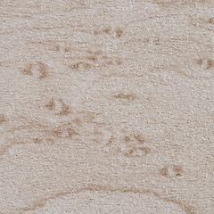 Image showing Brown vinyl texture