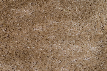 Image showing Beige carpet