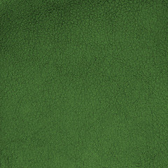 Image showing Green leather