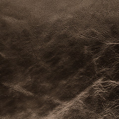 Image showing Brown leather