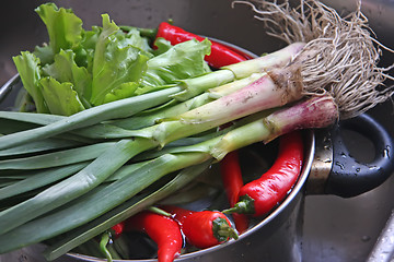 Image showing Fresh vegetables