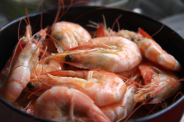 Image showing Whole cooked prawns