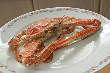 Image showing Cooked crab