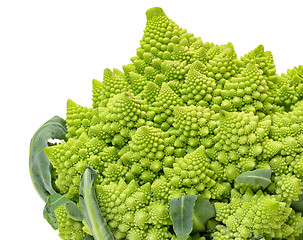 Image showing Green Fresh Romanesque Cauliflower