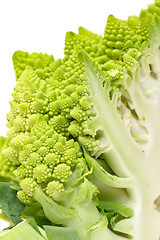 Image showing Part Green Fresh Romanesque Cauliflower