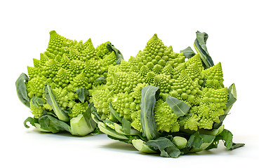Image showing Two Green Fresh Romanesque Cauliflower