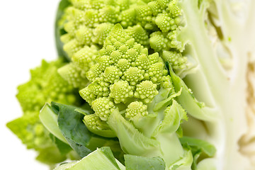 Image showing Part Green Fresh Romanesque Cauliflower