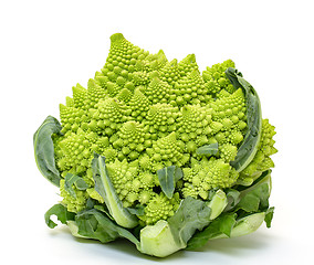 Image showing Green Fresh Romanesque Cauliflower