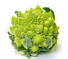 Image showing Green Fresh Romanesque Cauliflower