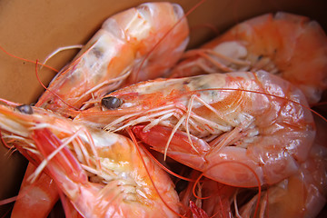 Image showing Whole cooked prawns