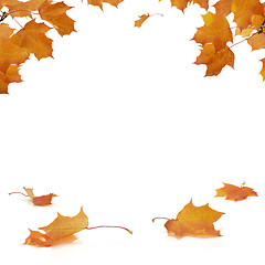 Image showing Autumn Frame