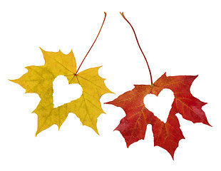 Image showing Autumn_Love