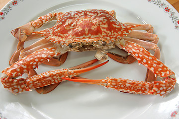 Image showing Cooked crab
