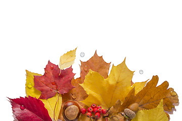 Image showing Isolated Autumn Collection