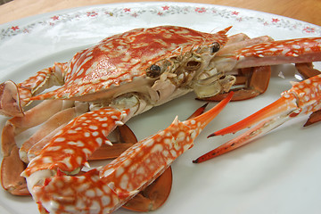 Image showing Cooked crab