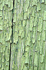 Image showing Dark green wood. Natural texture background