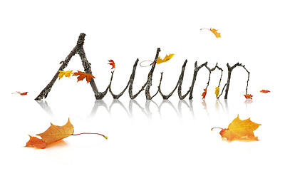 Image showing Autumn Word Made from Maple Branches