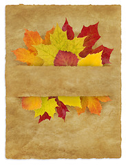 Image showing Autumn_Package