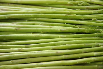 Image showing Fresh asparagus