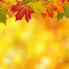 Image showing Autumn Frame