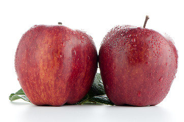 Image showing Ripe red apples