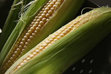 Image showing Fresh ears of corn