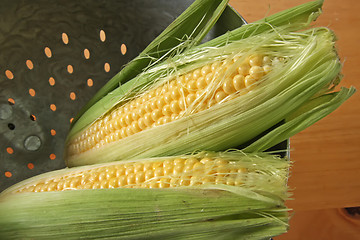 Image showing Fresh ears of corn