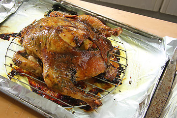 Image showing Whole roast chicken