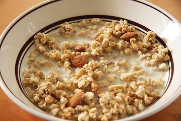 Image showing Corn flakes in milk