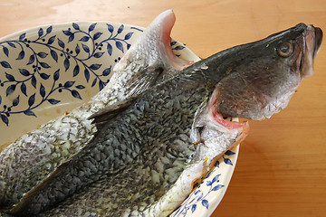 Image showing Raw fish