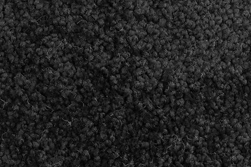 Image showing Grey carpet